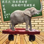 GS MALL 台灣製造 一組2入 耐衝擊滑輪棧板 推車 板車 拖板車 棧板 高硬度棧板 滑輪棧板 烏龜車, , large