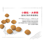 Royal Canin Senior Fussy Cat Complete Nutrition Formula for Adult Cats E42 , , large