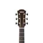instrument, , large