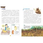 Science in the Stores, , large