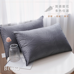 BUHO 可水洗舒眠抗菌機能枕-(台灣製)-2入(多款任選), , large