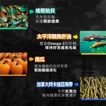 【拉拉寵物小舖】紐崔斯 貓飼料 頂級無穀貓+凍乾(七種魚)4.5公斤, , large