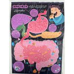 《南門書局》兒童智慧百科解謎書~人體迷宮, , large