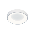 24W LED Ceiling-mounted Light, , large