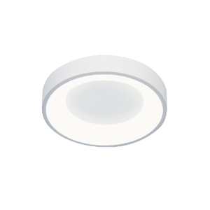 24W LED Ceiling-mounted Light