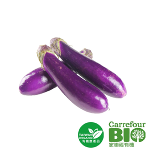 CFBIO Eggplant