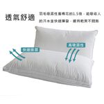 【生活好室】好適羽毛枕 水鳥羽毛枕 枕頭 台灣製造枕頭 天然水鳥羽毛 支撐頭頸 360度包覆 吸濕散熱 床寢 現貨 免運, , large