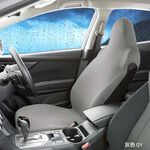 Seat Cover, , large