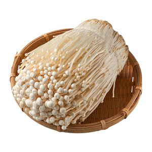 胖胖菇
