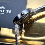 [TIMEMASTER] COACH watch, 28mm, CH00253, , large