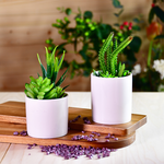 MINI ARTIFICIAL PLANT, , large