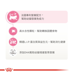 【拉拉寵物小舖】法國皇家 貓飼料 BC34 離乳貓與母貓專用乾糧 4公斤, , large