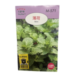 【向花緣】天星牌 薄荷 - 香藥草種子, , large