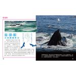 [小牛頓]動物生存高手：就是要吃東西 適合9-12歲 精裝全彩 高清照片搭動物影片, , large