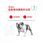 Royal Canin, , large