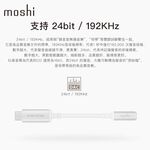 Moshi USB-C 音樂轉接器 samsung google pixel TypeC, , large