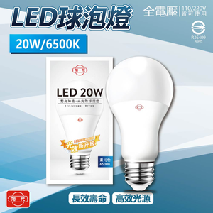 LSB20W/865/U/180/P