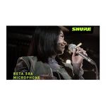 SHURE Beta 58A 動圈式麥克風 含原廠收納袋 MIC夾【敦煌樂器】, , large