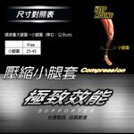 【AREX SPORT】 AS-3460 運動腿套 壓縮腿套 ( 入門款 ) 馬拉松/跑步/慢跑/運動, , large
