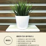 【MBM】萬用吸水珪藻土巧拼板(1盒4入)建材做的巧拼板, , large