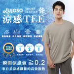 Mens Plain T-Shirts (SL), , large