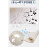 【日本藤田】100%天然乳膠床墊3CM 折疊床墊 學生床墊 乳膠墊 摺疊床墊 泰國乳膠, , large