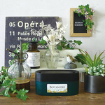 Room fragrance, , large
