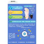 【BVD】防黴消臭船型男襪<黑>B517 男襪 短襪 毛巾襪 香港腳, , large