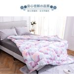 【日本旭川】超奈米石墨烯醫護級能量被(贈石墨烯床包組) 真心推薦  3KG棉被 石墨烯被 冬被 生命磁, , large