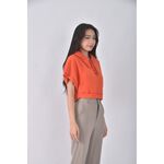 (S) hollister質感修身短版棉質連帽橘色短袖上衣二手衣, , large