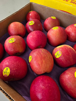 Honey Fuji Apple, , large