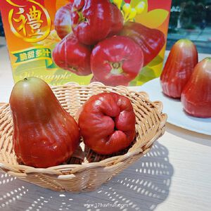 【一起買水果】水果黑糖芭比蓮霧(每箱約5斤裝/19-20顆)