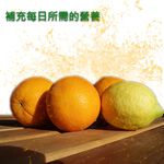 金德恩 GS MALL 台灣製造 海芋造型果汁噴瓶 海芋造型 果汁噴瓶 海芋噴瓶 果汁瓶 海芋 噴瓶 料理用具, , large