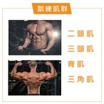 【德旺健身器材】【專業拉力器】黑色V字拉力桿, , large