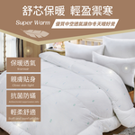 【多利寶寢具】Victoria_剋菌寶防蟎抗菌單人舒眠被/棉被胎, , large