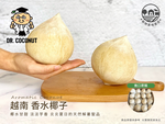 Aromatic Coconut , , large