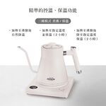 AIWA 愛華 1.0L 精準溫控手沖電茶壼 AA-K21GC 黑色, , large