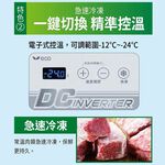 SANLUX Taiwan SANYO 258L Inverter Freezer SCF-V260GE, , large