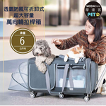 PET CAR, , large