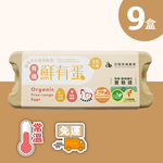 Organic Free-range Eggs 90 eggs (Standard), , large