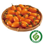 TAP Amber Cherry Tomato, , large
