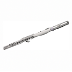 Roland Aerophone AE-Brisa, , large