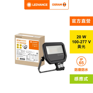FL PFM 20W/3000K SYM 100 S BK 12X1 LEDV