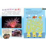[小牛頓]PLAY&LEARN：海洋遨遊 適合5-8歲 平裝全彩 高階遊戲書, , large