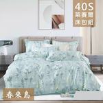 【愛神】40支天絲台灣製造天絲<春來島>單人床包組, , large