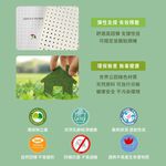 【Arnold Palmer雨傘牌】台製雙人加大6尺5cm 防蟎抗菌 天然乳膠床墊, , large