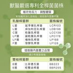 【FJ豐傑生醫】365寵物全方位益生菌30顆/袋-臨床獸醫X營養師研發精製。貓狗腸胃調理x綜合營養, , large