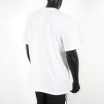 H13500, , large