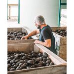 【大蒜】AVO-Pure特級冷壓初榨酪梨油250ml-紐西蘭原裝, , large