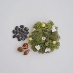 【paipaipets】Miniature Prairie-Green, , large